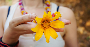 Institut für Integrative Yogapsychologie - Blume